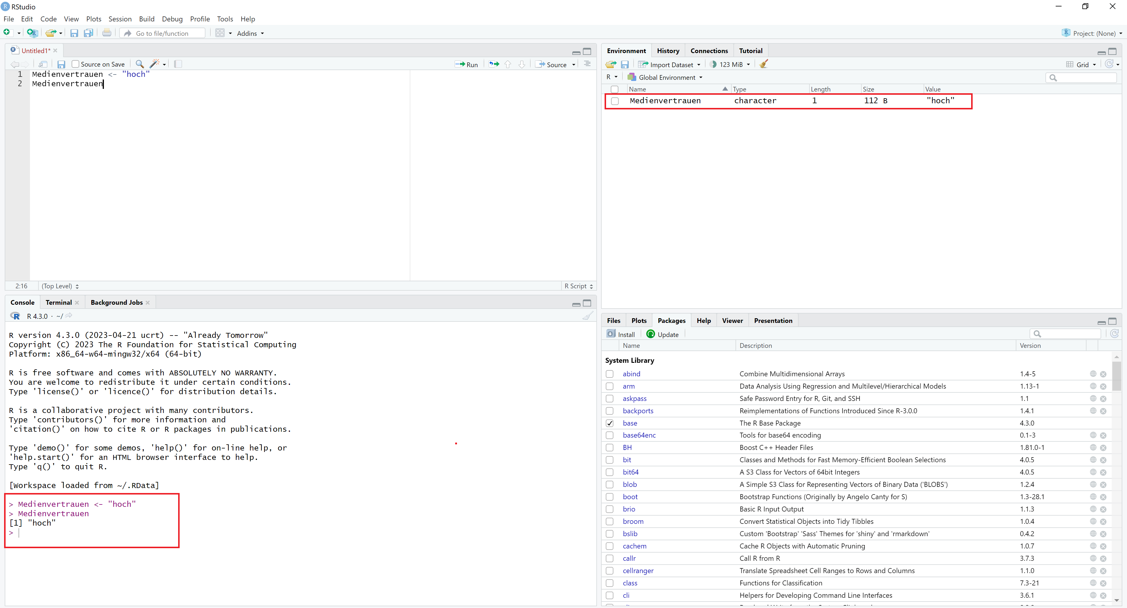 Screenshot RStudio Ausgabe des Objekts in der Console und im Environment Fenster