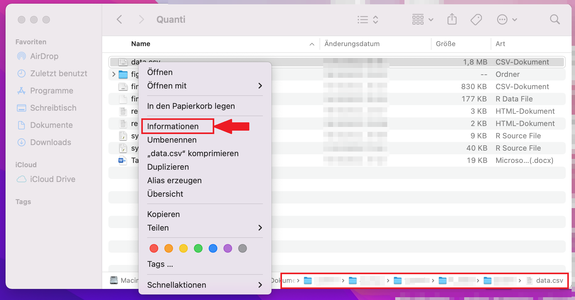 Screenshot vom Dateipfad unter MAC Datei öffnen.